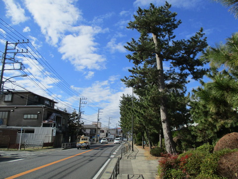 42国道1号線4