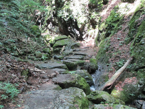 191引き続き沢渡り