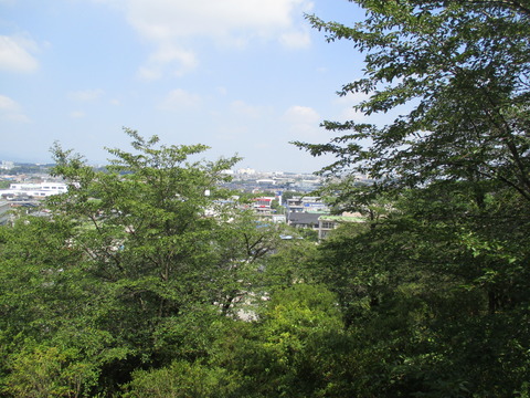 20展望台7
