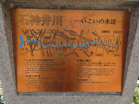 81新大橋3