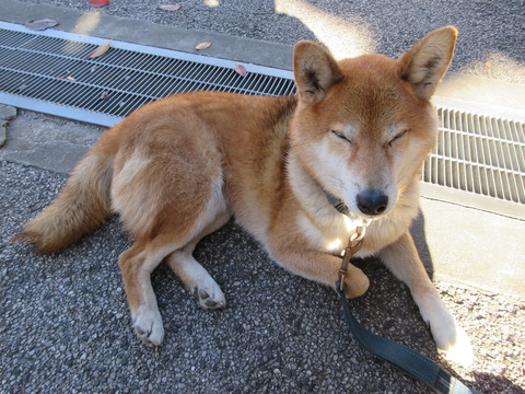 167感通寺23