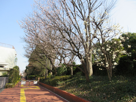 199歩道2