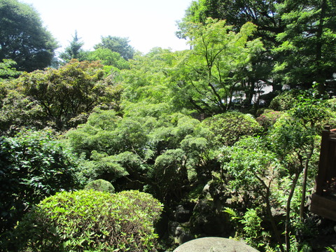 47庭園へ２
