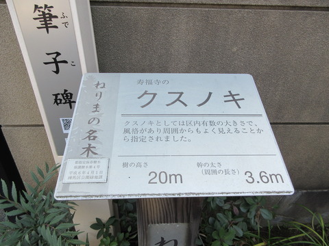 40-1寿福寺11-1