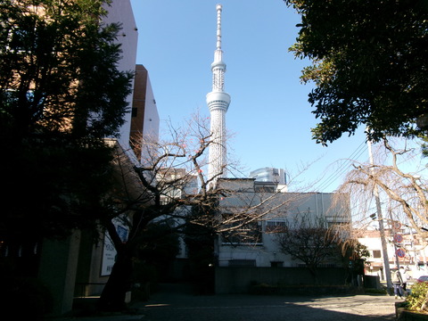 49法性寺２６
