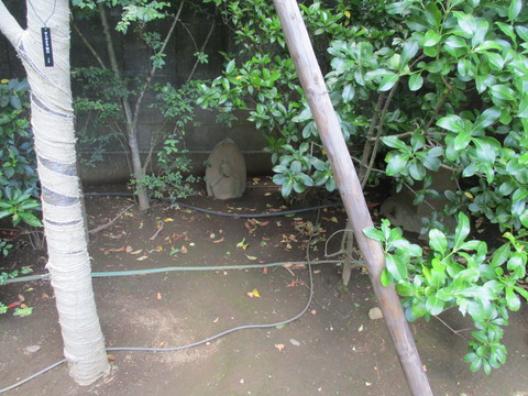134金剛院25