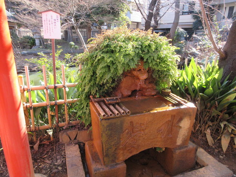 37瀧泉寺２７