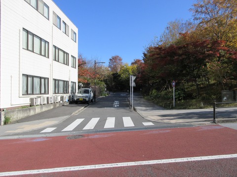 98中根坂2