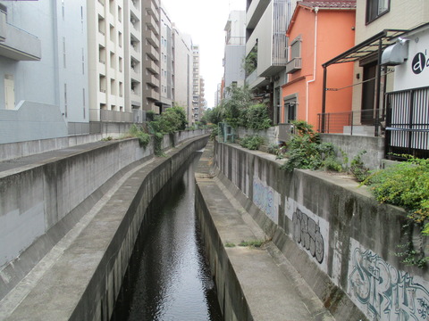 27一本橋3
