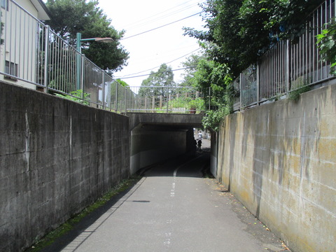 103小柳散歩道6