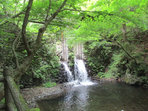 312沢沿い7