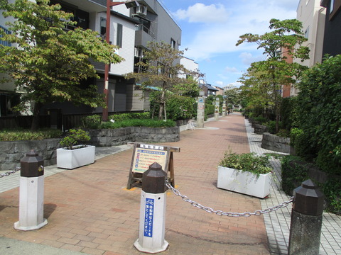 167烏山川緑道2