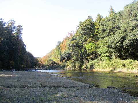118嵐山渓谷11