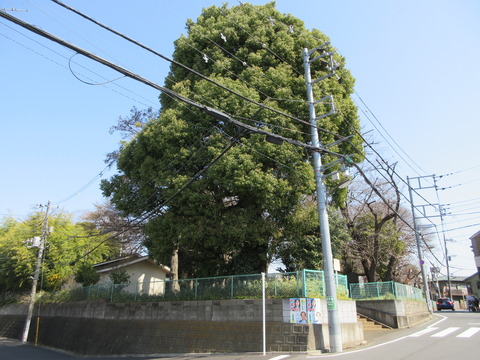 11春日神社1