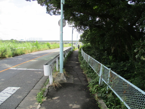 81一般道へ