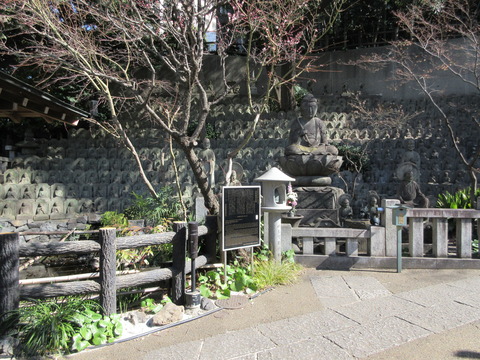141大圓寺４２
