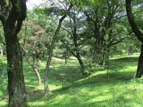 08稲荷山公園6
