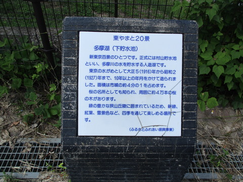 71広場18
