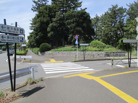 50辰巳の森緑道公園１