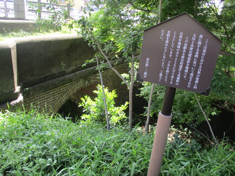 98どんどん橋1