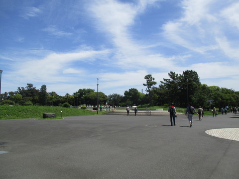 12夢の島公園５