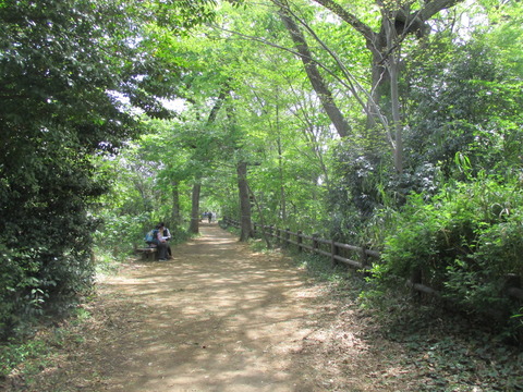 70玉川上水緑道へ