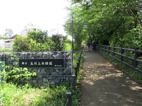 113再び緑道1