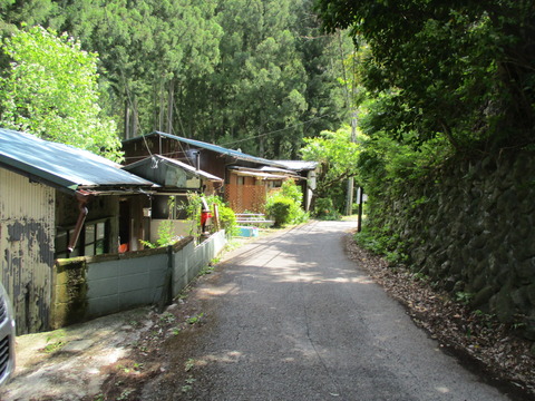 236むし歯地蔵尊1