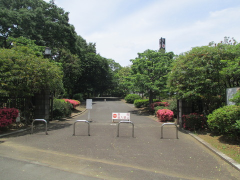 61国会前庭2