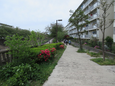 66対岸へ