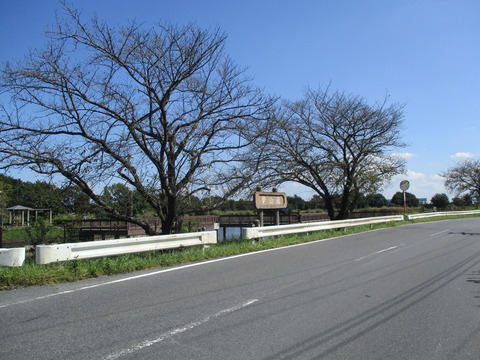 116柴山沼26