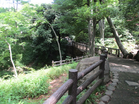 35有栖川宮記念公園7