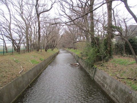 39千手橋2