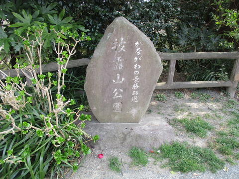 114披露山公園３