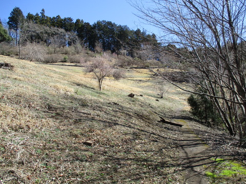121公園3