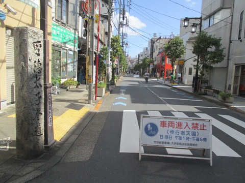 208石柱2