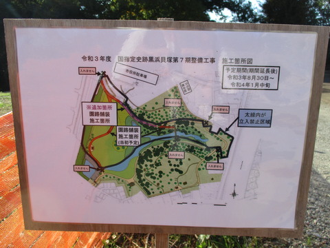 180黒浜貝塚2