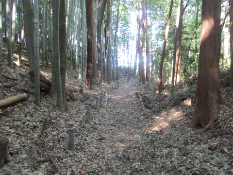 68堀・土塁4