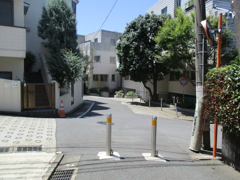 47旧いもり川道6