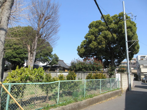 30寿福寺1