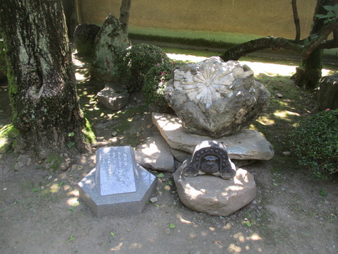54庭園３