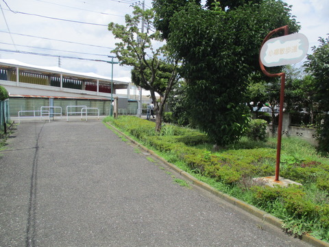 106小柳散歩道9