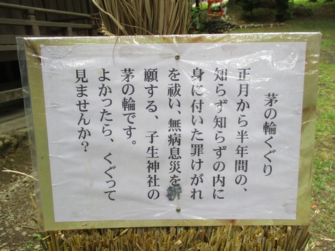 176子生神社9