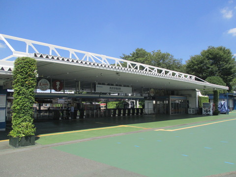 220駅ゴール