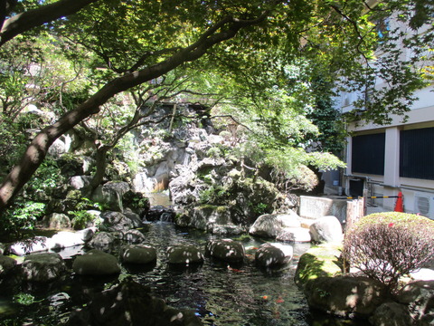 56庭園５
