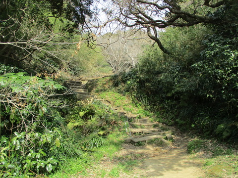 105山道5