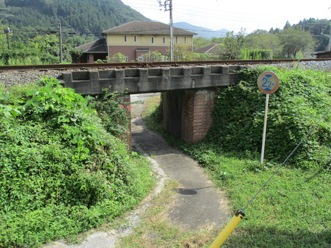 229橋