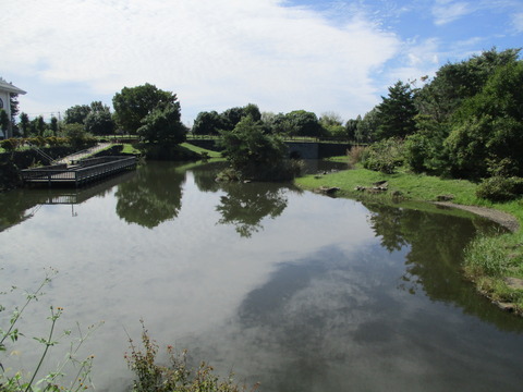 76騎西総合公園12