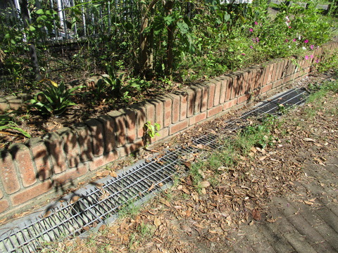 165公園8