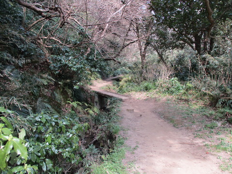 104山道4